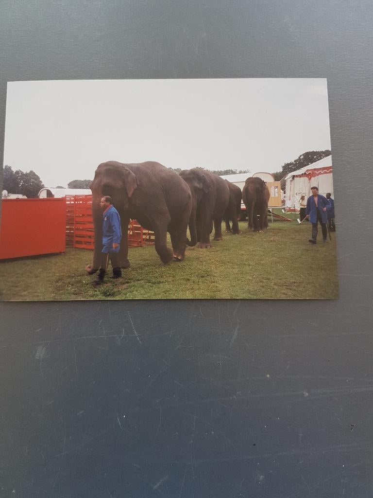 Circus/ buitenopnamen Circus Louis Knie / Holland-tour 2000., Ophalen of Verzenden, Zo goed als nieuw