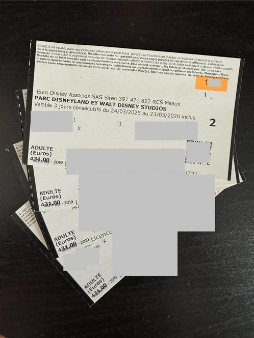 Disneyland Parijs: 2N 4* Hotel + 4x 3dag kaartjes –tmv €3000, Tickets en Kaartjes, Kortingen en Cadeaubonnen, Drie personen of meer