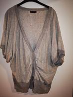 DYANNE grijs vest maat XXL, Ophalen of Verzenden, Zo goed als nieuw, Grijs, Trui of Vest