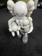 Kaws, Ophalen of Verzenden, Zo goed als nieuw, Overige typen