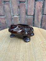 Kikker Verzameling - Dierenbeeldjes, Verzamelen, Ophalen of Verzenden, Gebruikt, Beeldje of Figuurtje