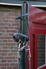 Stang en trens hoofdstel (full), Dieren en Toebehoren, Ophalen of Verzenden, Zo goed als nieuw, Dressuur