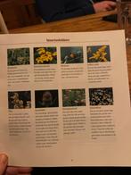 Meer vogels in de tuin - Vogelbescherming Nederland, Ophalen of Verzenden, Zo goed als nieuw, Vogels