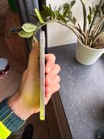 iPhone 15 Pro Max 256GB - Krasjes scherm, Telecommunicatie, Mobiele telefoons | Apple iPhone, Ophalen, Zwart, 256 GB, IPhone 15 Pro Max