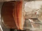 Kombucha zwam scoby 14cm doosnede + 100ml kombucha, Ophalen