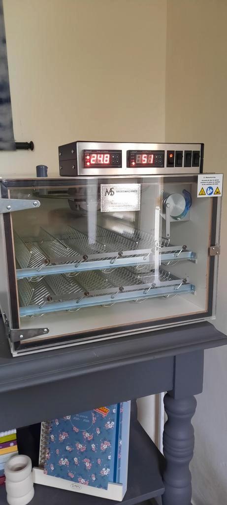 Als nieuw! MS 100 broedmachine  topmachine ms volautomatisch, Dieren en Toebehoren, Pluimvee | Toebehoren, Zo goed als nieuw, Broedmachine