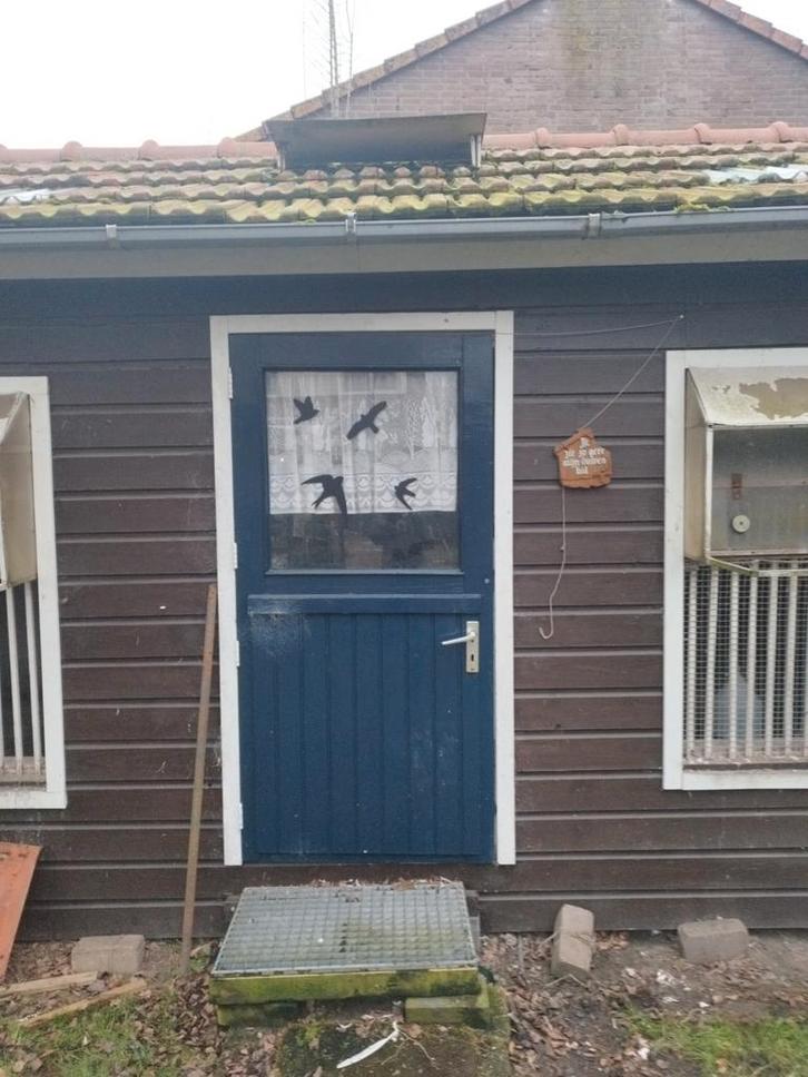 Duiven attributen en kippenhok, Dieren en Toebehoren, Vogels | Duiven, Postduif, Meerdere dieren