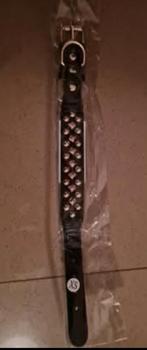 Hondenhalsband zwart met gouden studs. XS., Ophalen of Verzenden, Nieuw