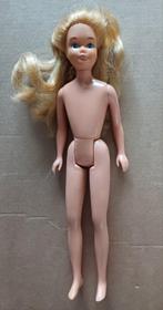 Vintage Barbie Skipper, Ophalen of Verzenden, Gebruikt, Barbie