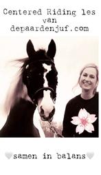 Gediplomeerd Instructrice Centered Riding., Diensten en Vakmensen, Dieren | Paarden | Verzorging, Oppas en Les, Ruiter of Bijrijder