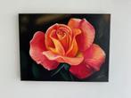Giclee print, Ophalen