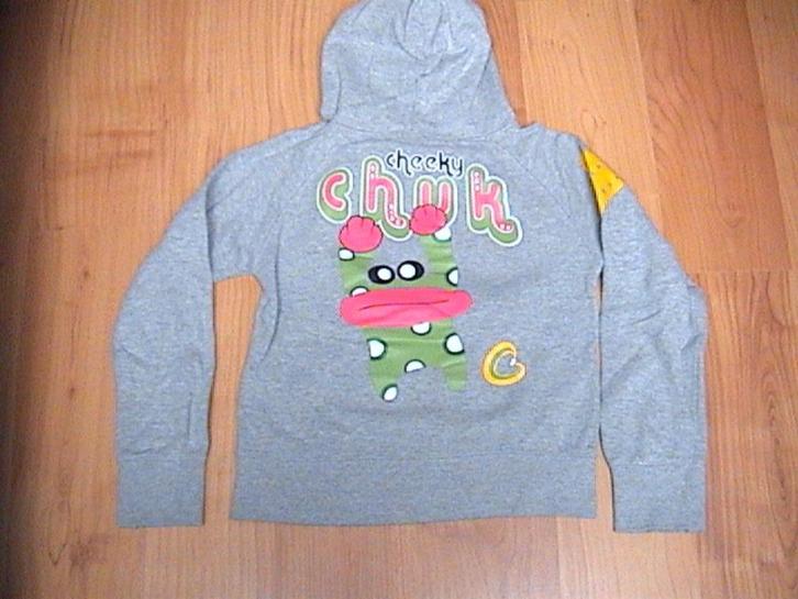 SOHO NEW YORK grijze sweater + opdruk kikker rugzijde 158, Kinderen en Baby's, Kinderkleding | Maat 158, Gebruikt, Meisje, Trui of Vest