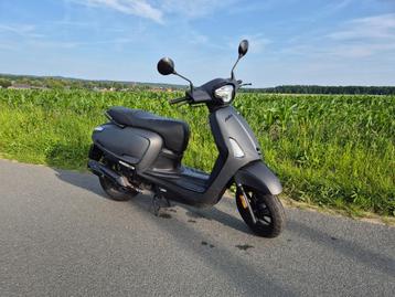 Kymco New Like 50cc 2021 – 17 788 km – 45 km/h – mat petrol  beschikbaar voor biedingen