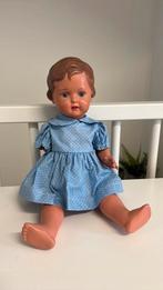 Schildkröt pop, Verzamelen, Ophalen of Verzenden, Gebruikt, Pop