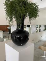 Vaas, Ophalen, Zo goed als nieuw, Zwart, 50 tot 75 cm