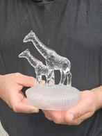 Kristallen Giraffe Sculptuur - Moeder en Jong, Ophalen of Verzenden