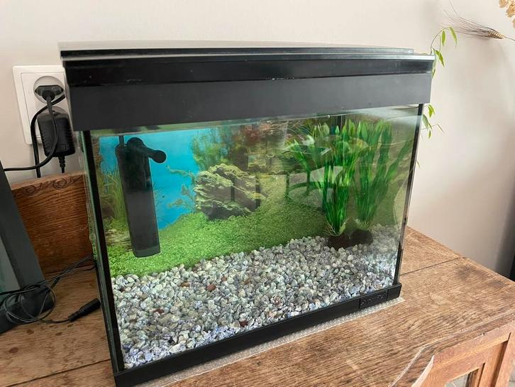 Aquarium! SuperFish Aqua 20 LED Goldfish kit (nette staat!), Dieren en Toebehoren, Vissen | Aquaria en Toebehoren, Zo goed als nieuw