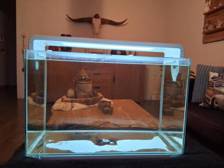 Superfish home 60, Dieren en Toebehoren, Vissen | Aquaria en Toebehoren, Zo goed als nieuw, Leeg aquarium, Ophalen of Verzenden