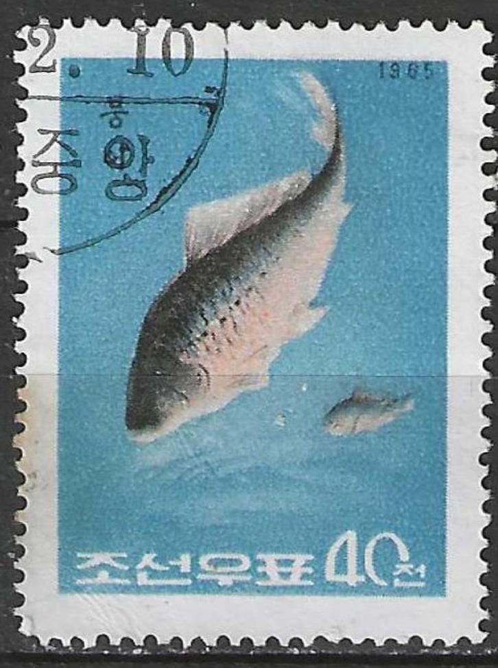 Noord-Korea 1965 - Yvert 606 - Carassius carassius (ST), Postzegels en Munten, Postzegels | Azië, Oost-Azië, Verzenden