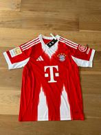 Bayern München shirt 2025/2026 Kane, Sport en Fitness, Voetbal, Maat M, Ophalen of Verzenden, Nieuw, Shirt