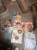 Oude tijdschriften panorma revue magriet op den uitkijk, Ophalen, Gelezen