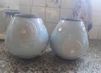 Twee bloempotten/vazen, Ophalen, Zo goed als nieuw, Minder dan 10 m², Laminaat