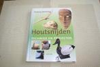 Houtsnijden techniek en projecten Antony Denning, Ophalen of Verzenden, Zo goed als nieuw, Boek