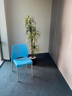 Kantinestoel, Ophalen, Nieuw, Blauw, Eén