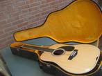 Suzuki gitaar 12 snaren -  Suzuki guitar NO . F - 250, Muziek en Instrumenten, Snaarinstrumenten | Gitaren | Akoestisch, Ophalen