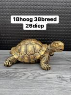 schildpad, Woondecoratie eindhoven, Nieuw, Ophalen of Verzenden, Woondecoratie eindhoven
