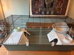 Mooie grote groene Ferplast binnen cavia- of konijnenkooi, Kooi, 110 cm of meer, Cavia, Ophalen