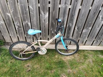 Kinderfiets 45 cm – Heeft wat onderhoud nodig beschikbaar voor biedingen