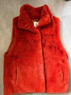 Rino &Pelle Bont Bodywarmer, oranje, Kleding | Dames, Oranje, Ophalen of Verzenden, Zo goed als nieuw, Maat 36 (S)