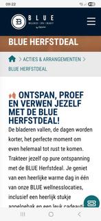 Entree Blue Wellness in Leiden, Tickets en Kaartjes, Eén persoon, Cadeaubon, Spa of Sauna