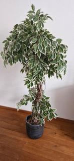 Kunstboom/ levensechte plant voor binnen, Ophalen of Verzenden, Zo goed als nieuw
