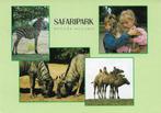 Ansichtkaart	Hilvarenbeek	Beekse Bergen	Safaripark	4-luik, Verzamelen, Verzenden, 1980 tot heden, Gelopen, Noord-Brabant