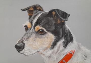 Compleet schilderij Jack Russel 2 - eigen werk - honden hond beschikbaar voor biedingen
