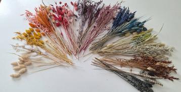 Droogbloemen  allerlei.  beschikbaar voor biedingen