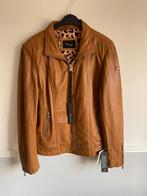 DNR, dames leren jack, maat 42-44, Bruin, Maat 42/44 (L), Nieuw, Ophalen of Verzenden
