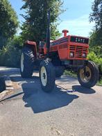 Te Koop : Same Panter, Zakelijke goederen, Agrarisch | Tractoren, Ophalen, Oldtimer, 80 tot 120 Pk, Same