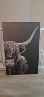 Schilderij bizon groot, Antiek en Kunst, Ophalen of Verzenden