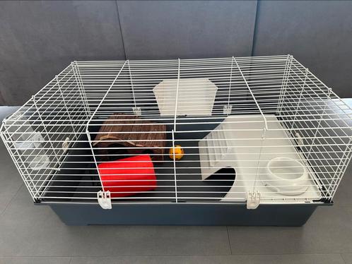 Ferplast Caviakooi 100 plus extra’s, Dieren en Toebehoren, Knaagdieren en Konijnen | Hokken en Kooien, Gebruikt, Hok, Minder dan 60 cm