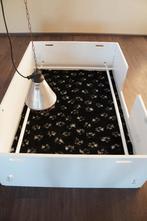 Mooie witte werpkist te huur voor middelgrote tot grote hond, Ophalen, Zo goed als nieuw, 110 cm of meer, Minder dan 65 cm