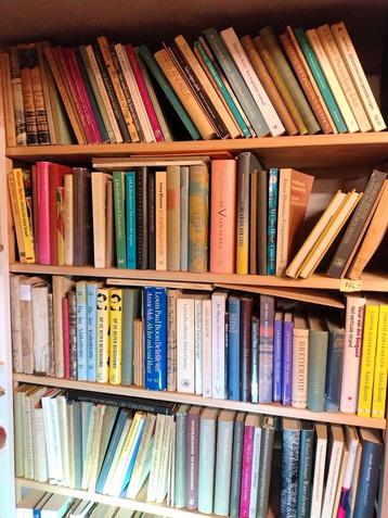 Grote partij Nederlandse literatuur beschikbaar voor biedingen