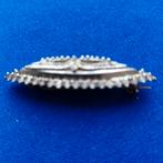 Antieke Zilveren Broche - Slank Ovaal, Verzenden, Zilver, Zilver