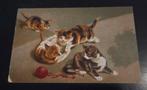 Speelse kittens, Verzenden, 1920 tot 1940, Gelopen, Hond of Kat