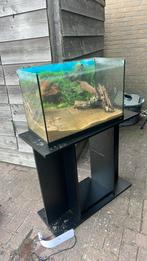 2 aqauriums plus lampen en twee pompen en verwarming, Dieren en Toebehoren, Vissen | Aquaria en Toebehoren, Ophalen of Verzenden