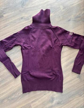 Equestrain Stockholm purple gold coltrui M beschikbaar voor biedingen