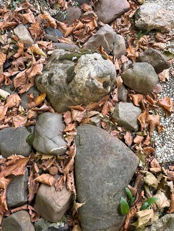 Gratis stenen beschikbaar voor biedingen