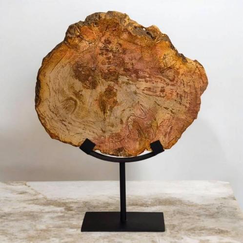 versteend hout op standaard, Verzamelen, Mineralen en Fossielen, Mineraal, Ophalen of Verzenden